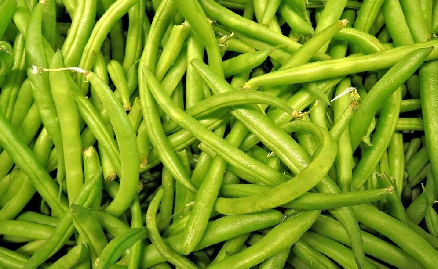 Green beans used in Luxembourg for Bouneschlupp.