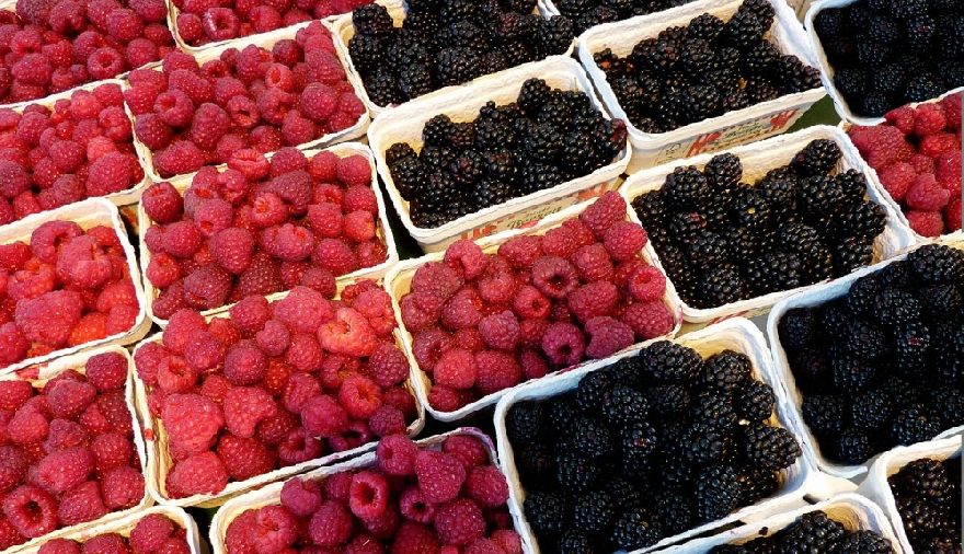 Köstliche Berries und Wildfrüchte in Finnland.