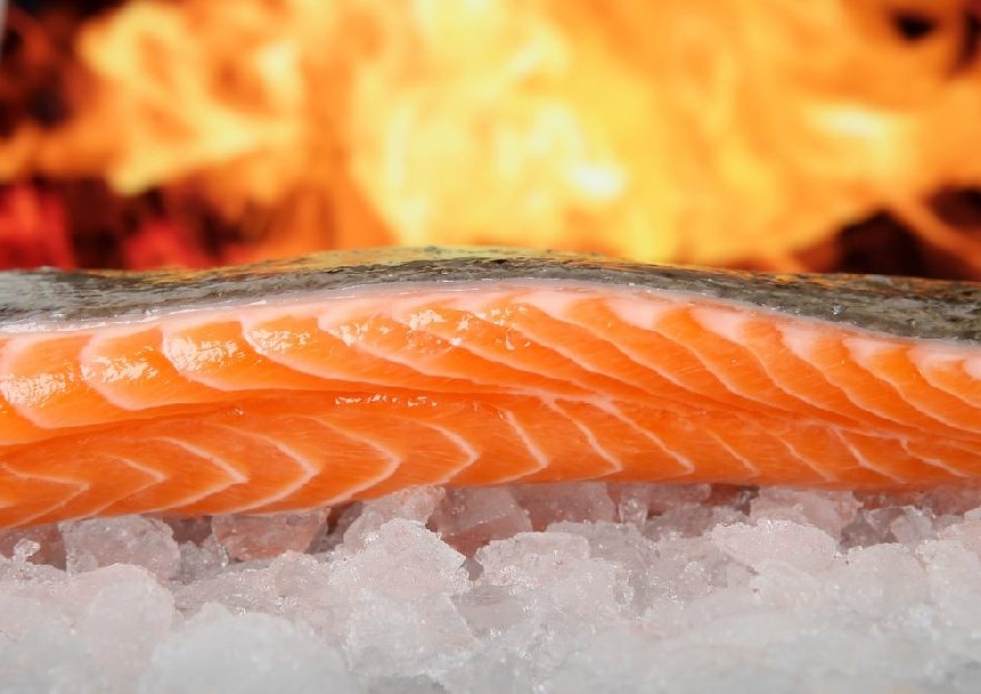 Seelachsfilet